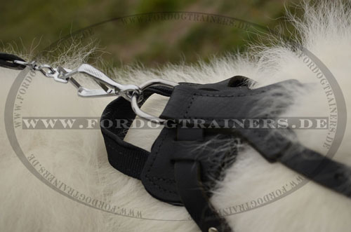 Adjustable Dog Harness for Protection Training | Leather Harness